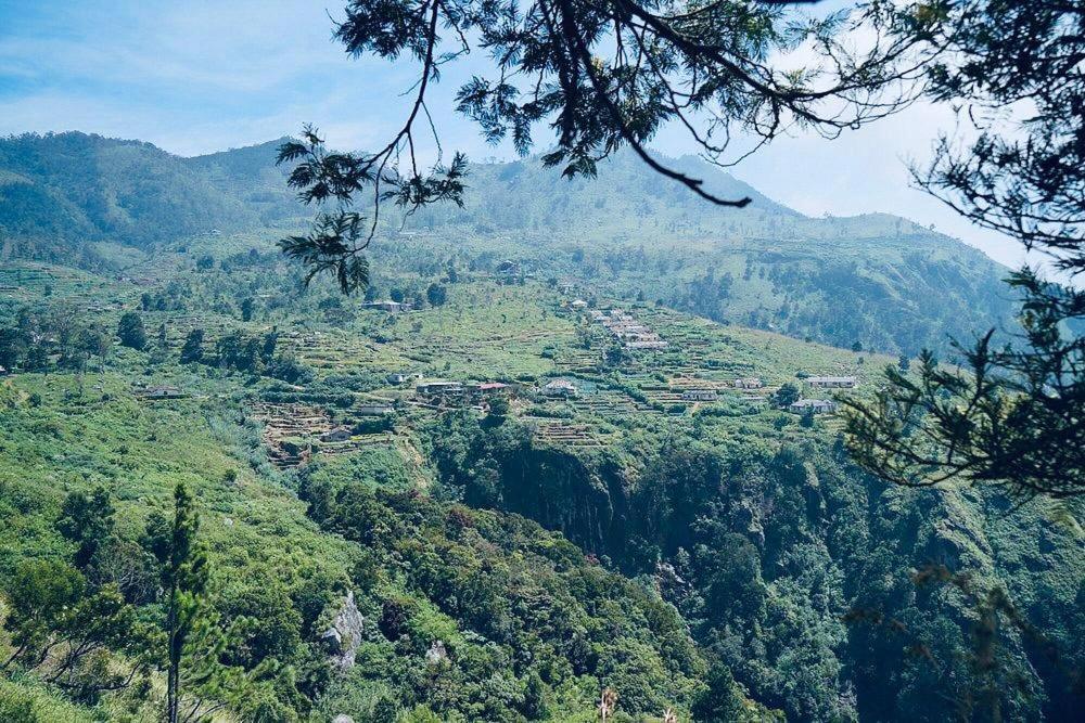 Misty Mountain Lodge Ohiya Dış mekan fotoğraf